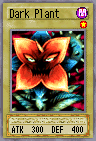 Dark Plant