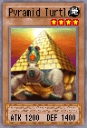 Pyramid Turtle