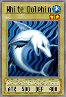 White Dolphin